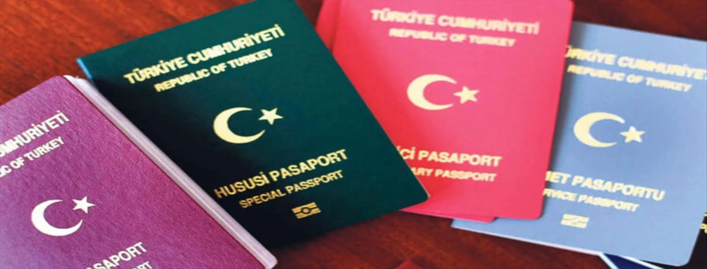 Image for Turkish Citizenship